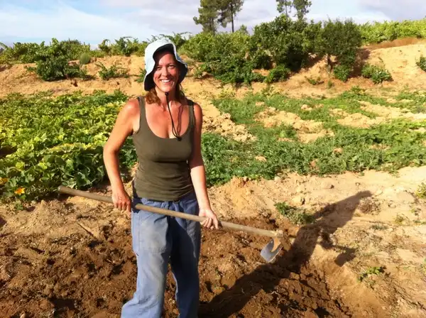 A CRISE NÃO E UMA CRISE DAS BATATAS