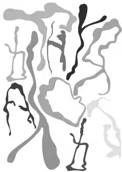 Mein weg zum Traumberuf