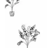 Mein weg zum Traumberuf