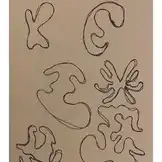 Mein weg zum Traumberuf