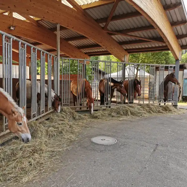 Nun wird es Zeit etwas zurück zu geben! 