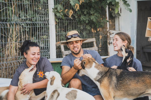 Animal shelter in Albania