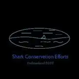 Multimedial Shark Project