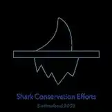 Multimedial Shark Project