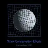 Multimedial Shark Project