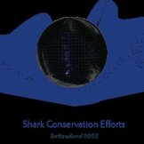Multimedial Shark Project