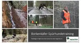 Danke und Trainingsupdate